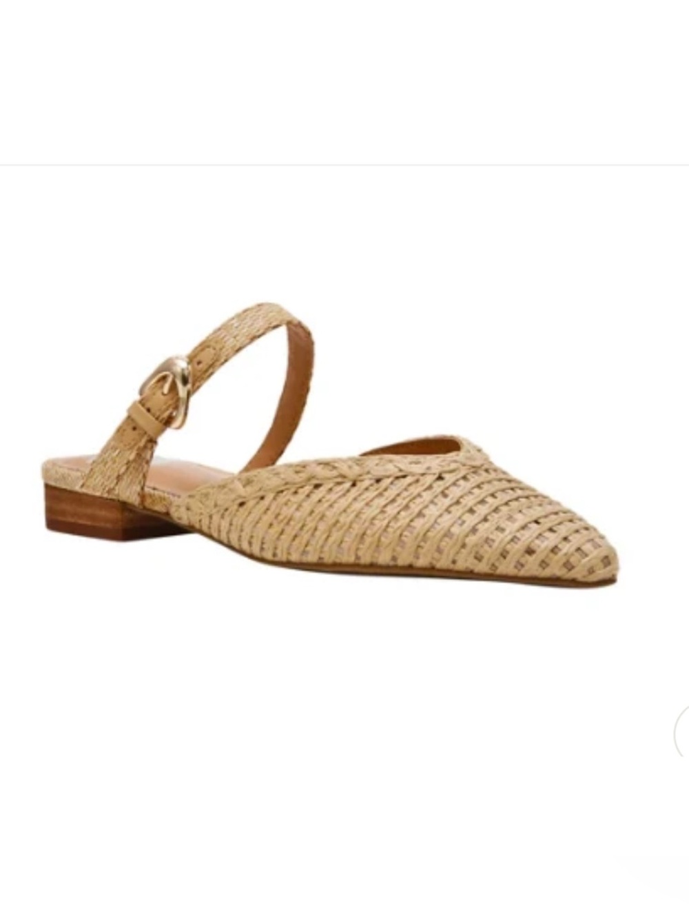 Dolce Vita Domainica Raffia Woven Flats
Size 6